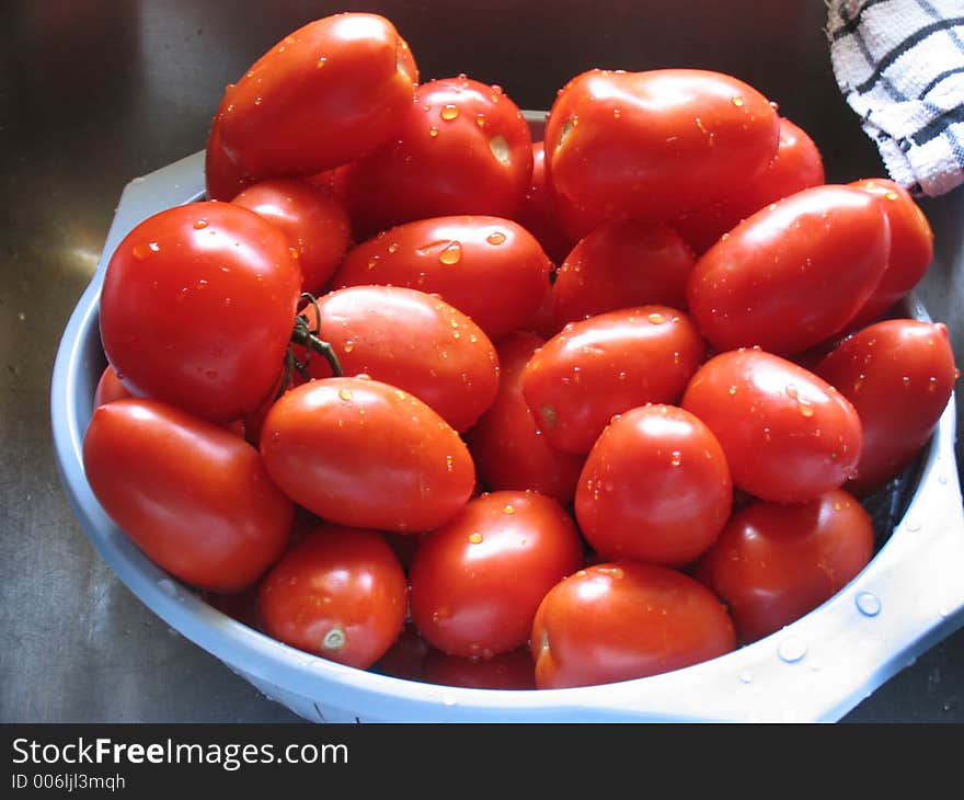 Freshly Washed Tomatoes