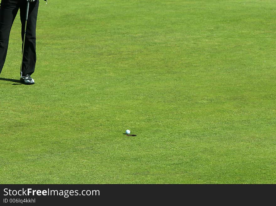 Golfer putting on the last hole, waiting to see if golfball goes in the hole. Golfer putting on the last hole, waiting to see if golfball goes in the hole