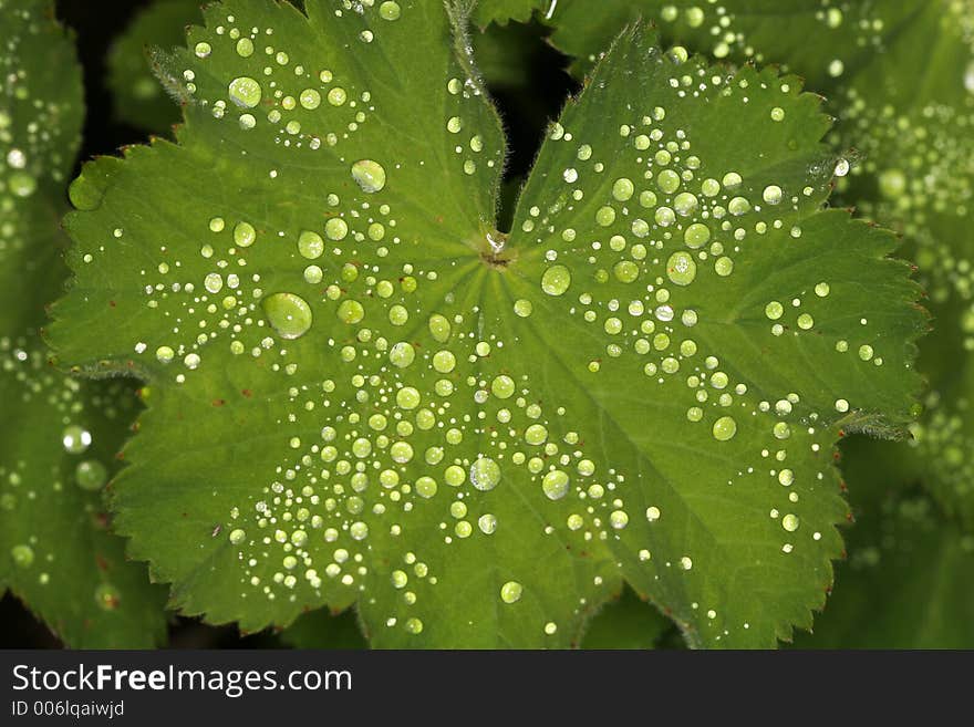 Glowing droplets