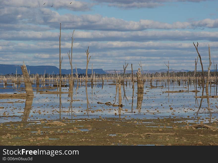 A dying lake. A dying lake