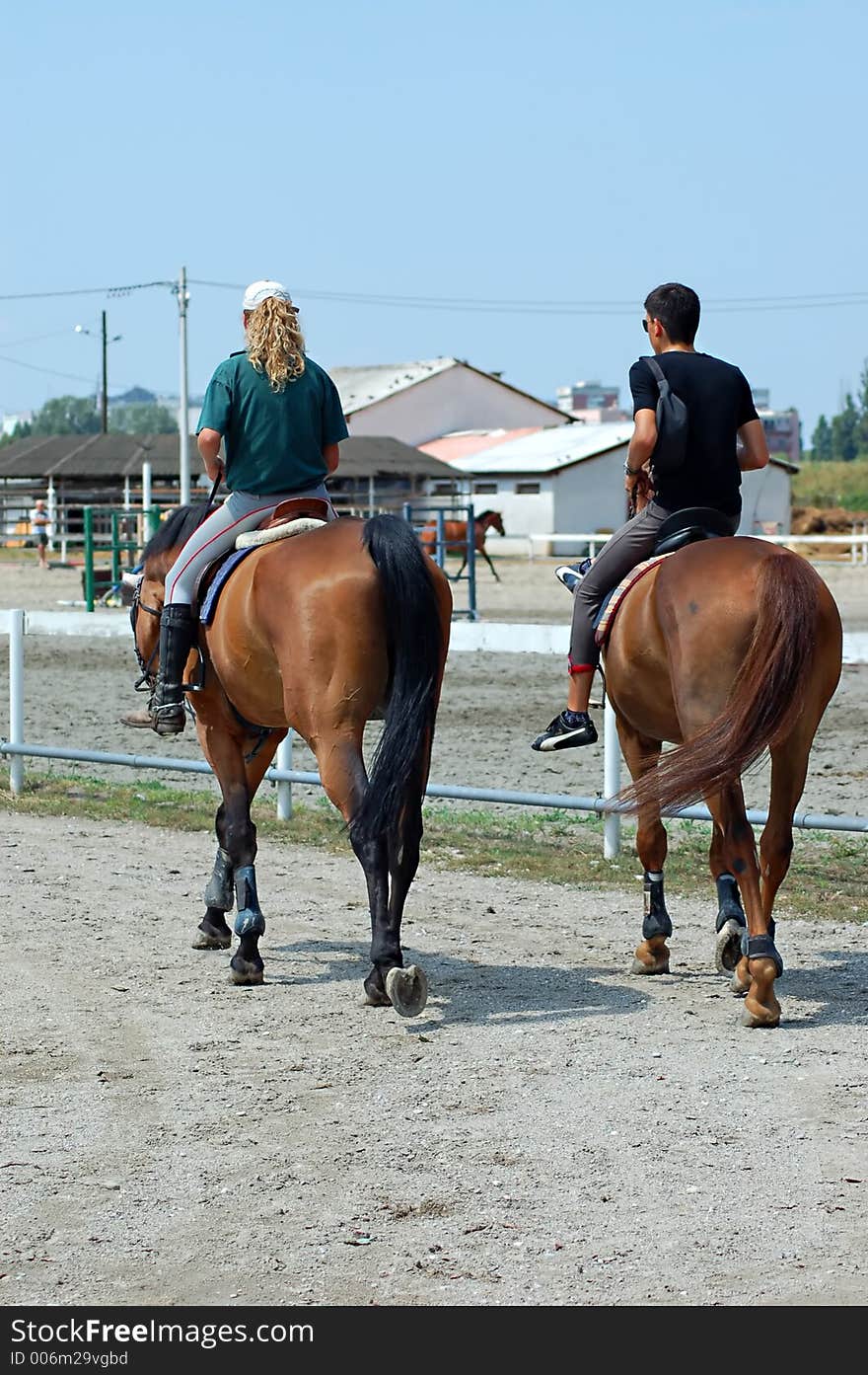 Two horses rideing home