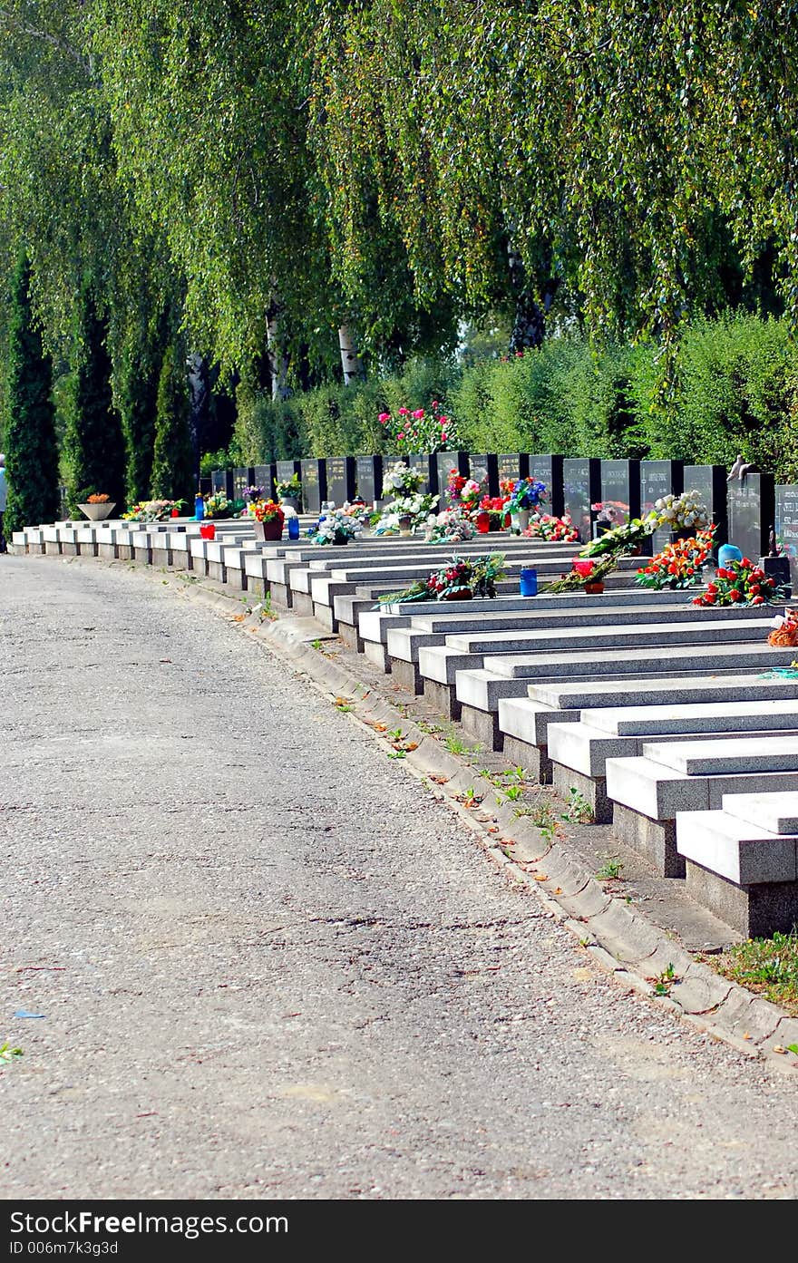 Graveyard on sunny day. Calm and quiet.