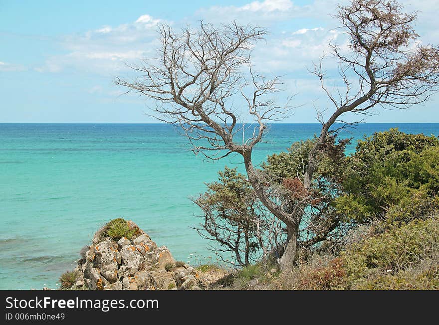 Beach in sadinia. Beach in sadinia