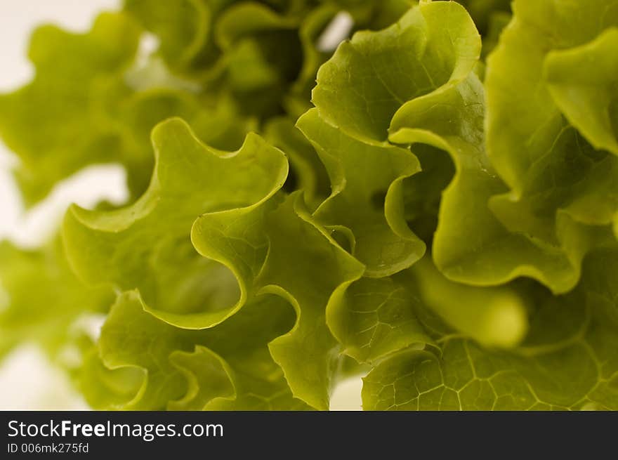 Green salad close-up. Green salad close-up