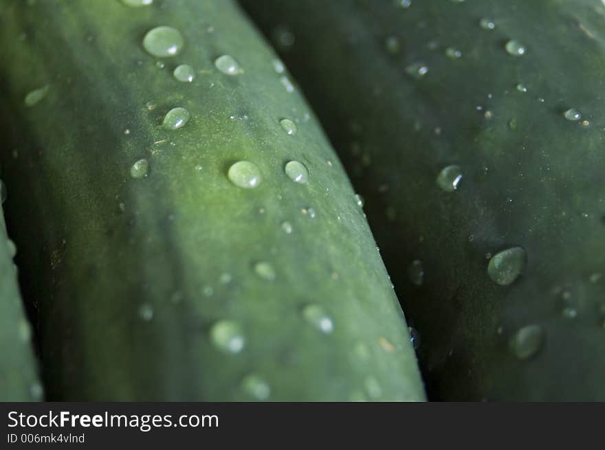 Wet cucumbers closeup.