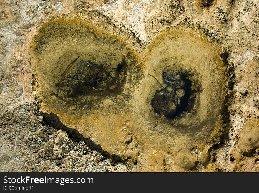 Background: rock holes with water inside. Background: rock holes with water inside