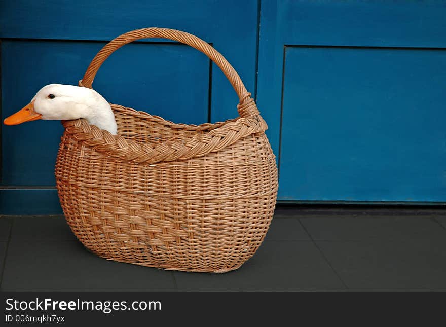 Goose in a basket. Goose in a basket