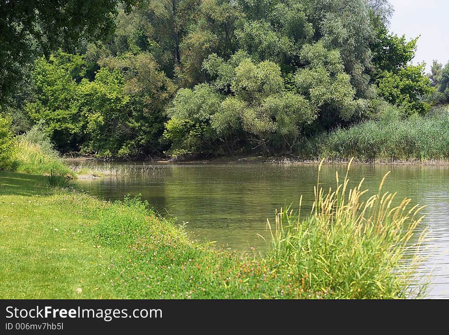 River and the nature in summer. River and the nature in summer