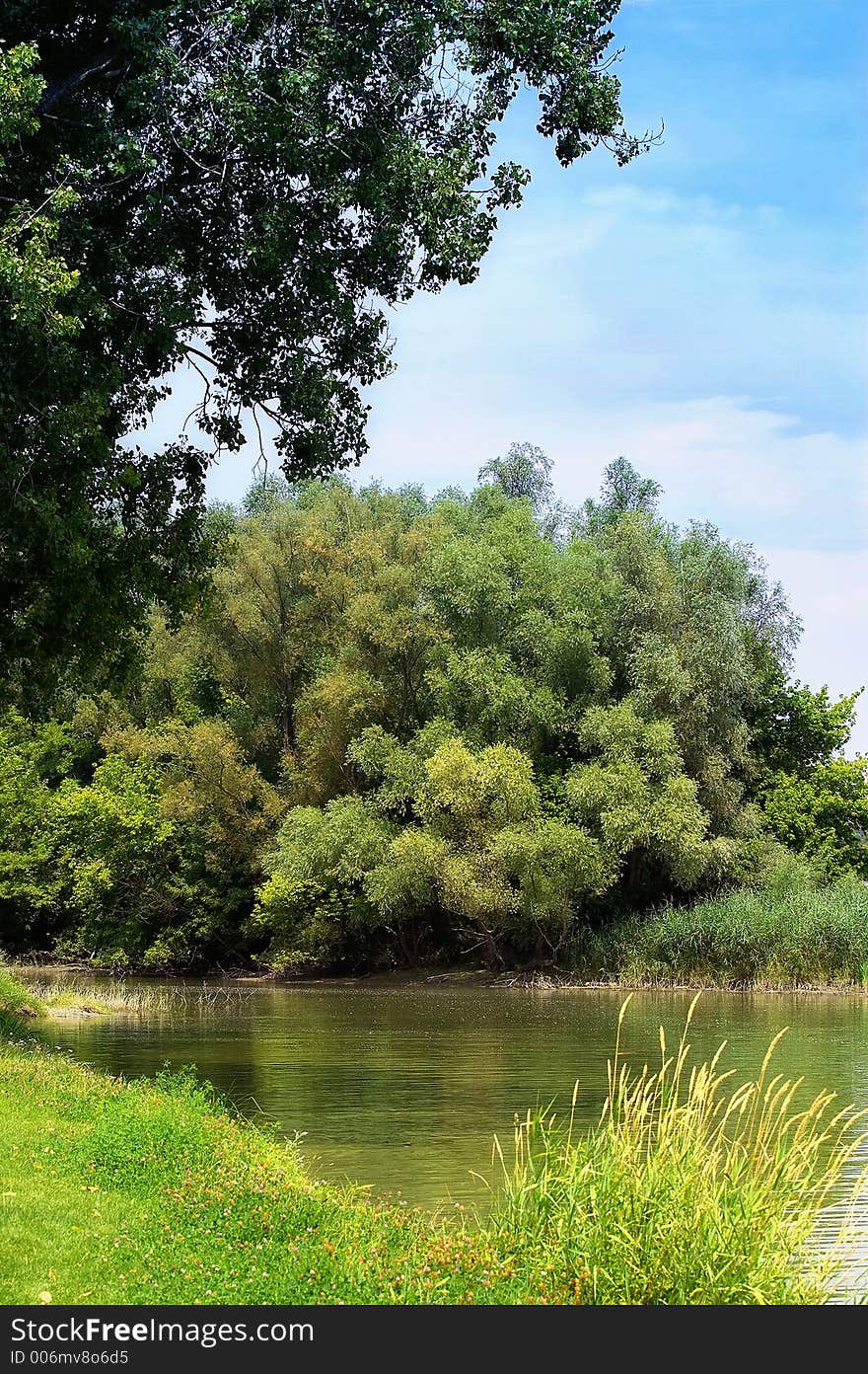 River and the nature in summer. River and the nature in summer