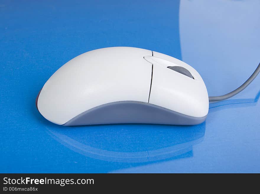 A single Mouse