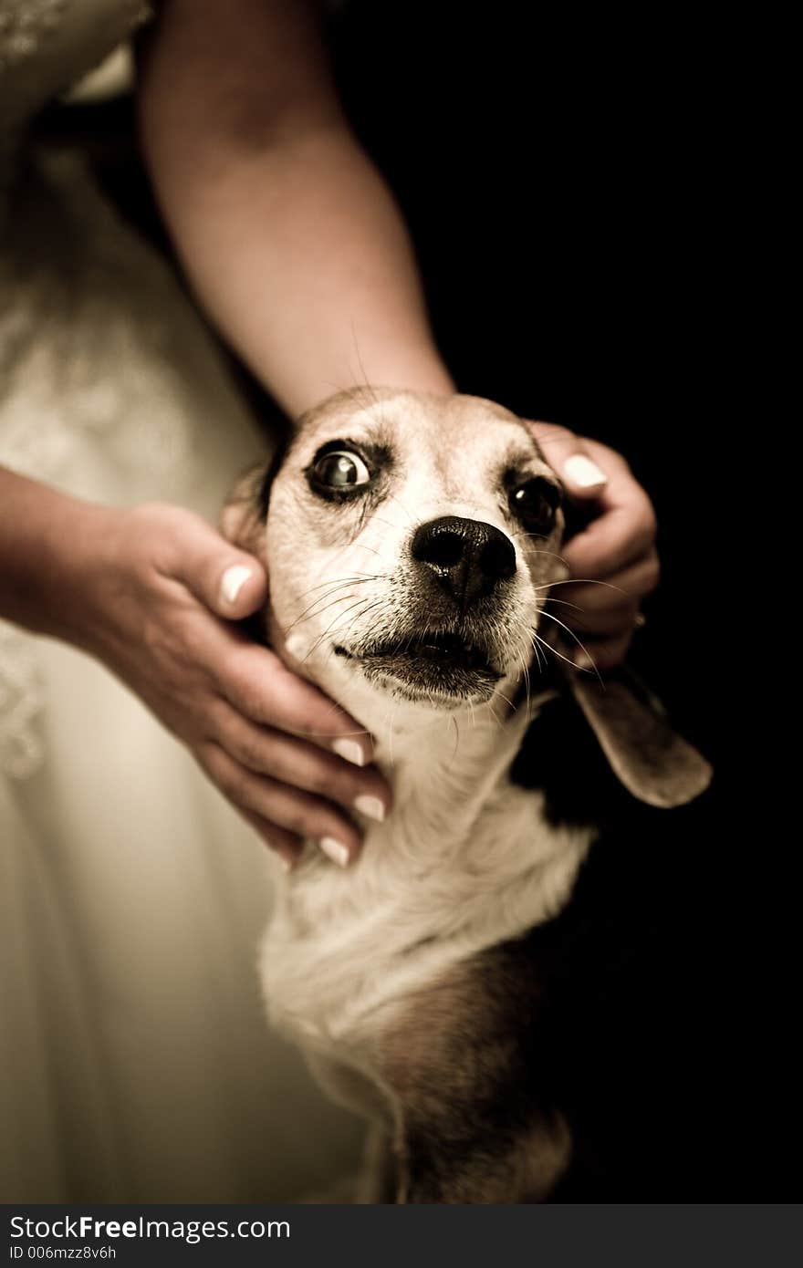 Cute dog with his master.