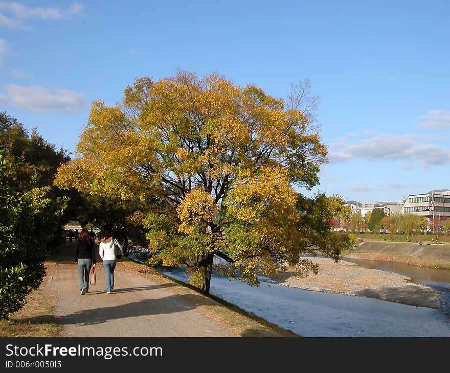 Two girls walking on the riverside in autumn, Kyoto, Kamo-river. Two girls walking on the riverside in autumn, Kyoto, Kamo-river