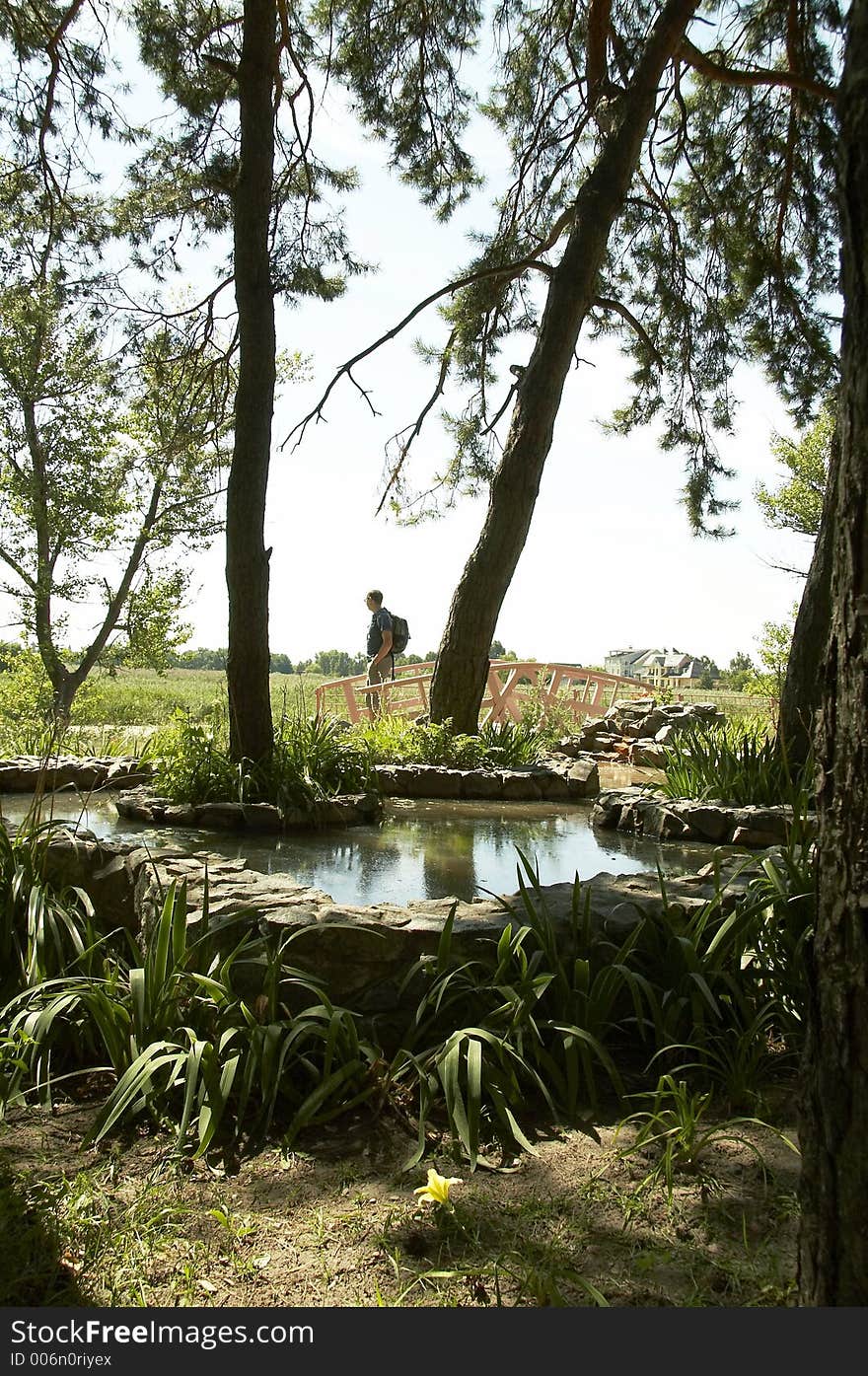 Man In The Park