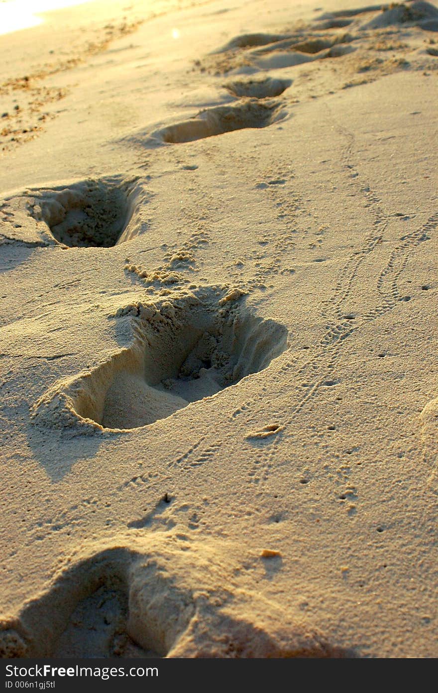 FOOTPRINTS ON A TROPICAL BEACH