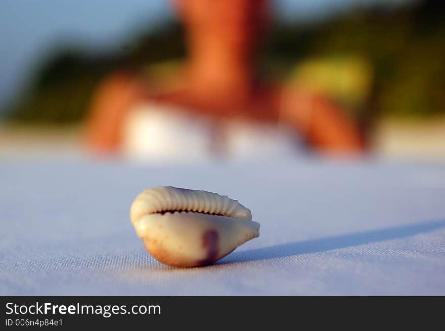 A girl looking at a shell placed on a table.