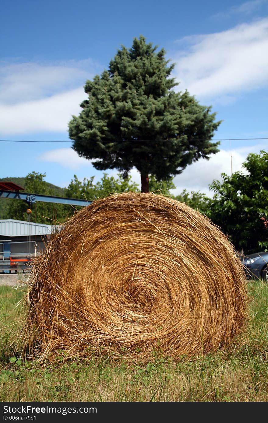 Hay ball and tree in a field