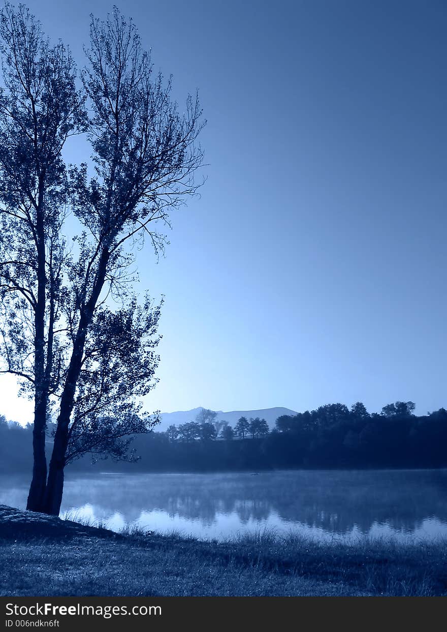 Tree by the lake with fog floating over the water (blue toned). Tree by the lake with fog floating over the water (blue toned)