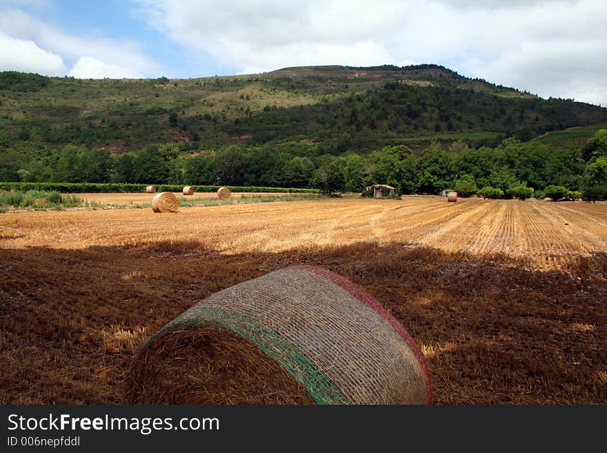 Hay field after harvest