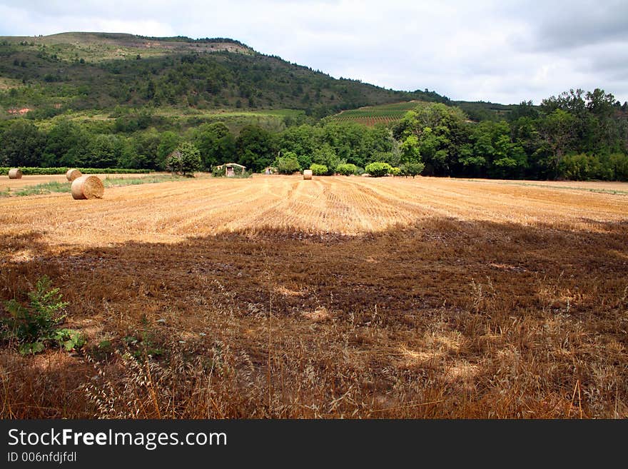 Hay field after harvesting, south of France