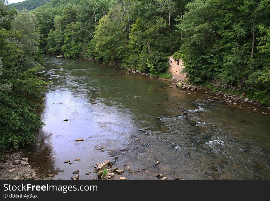 River in a forest