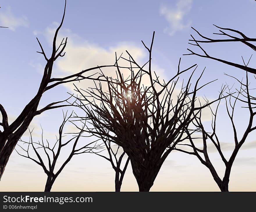 A forest of winter trees. A forest of winter trees.