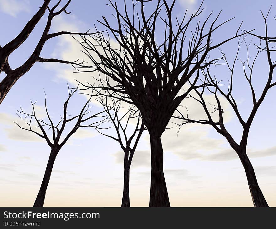 A forest of winter trees. A forest of winter trees.