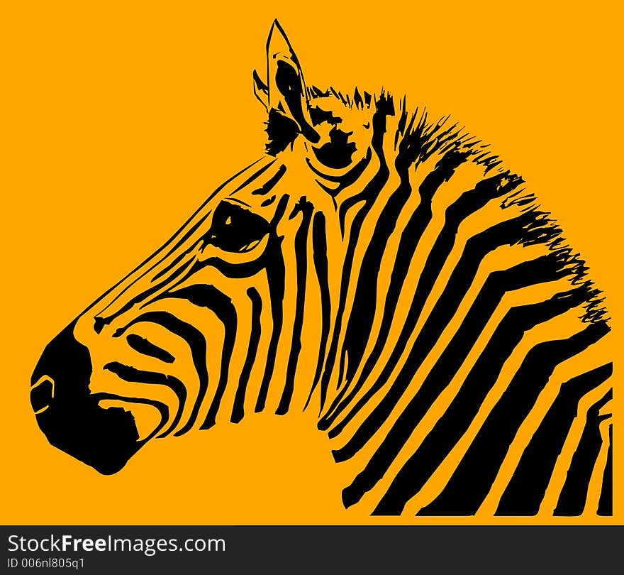 An image of a zebra with black and orange in the skin and background areas