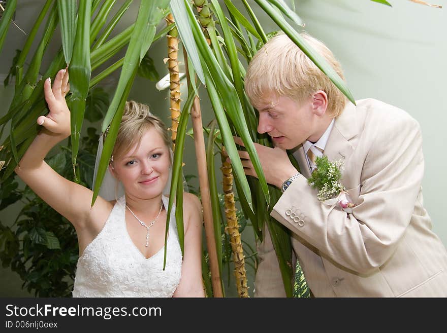 Newlywedses in whinter-park. Newlywedses in whinter-park