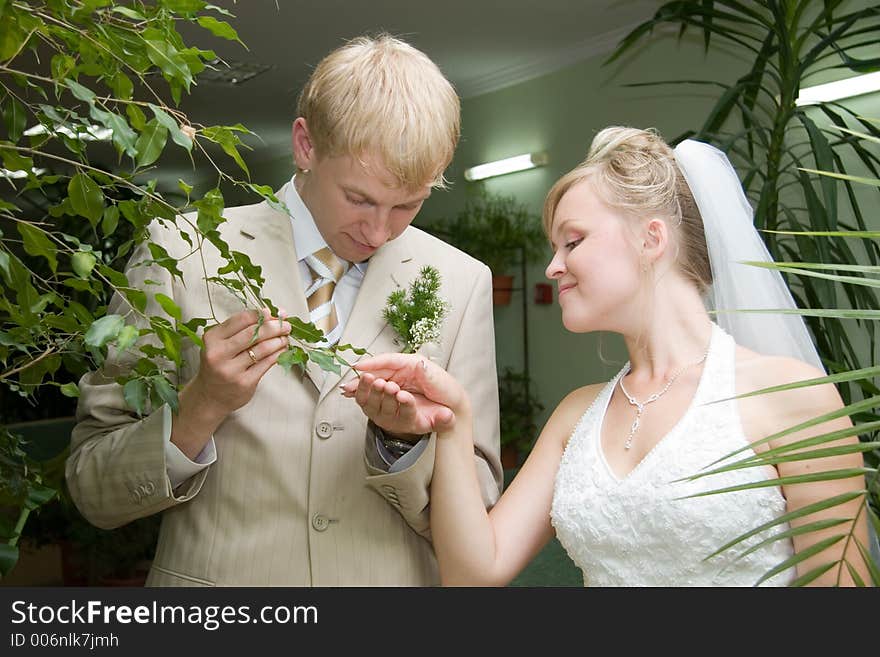 Newlywedses in whinter-park. Newlywedses in whinter-park