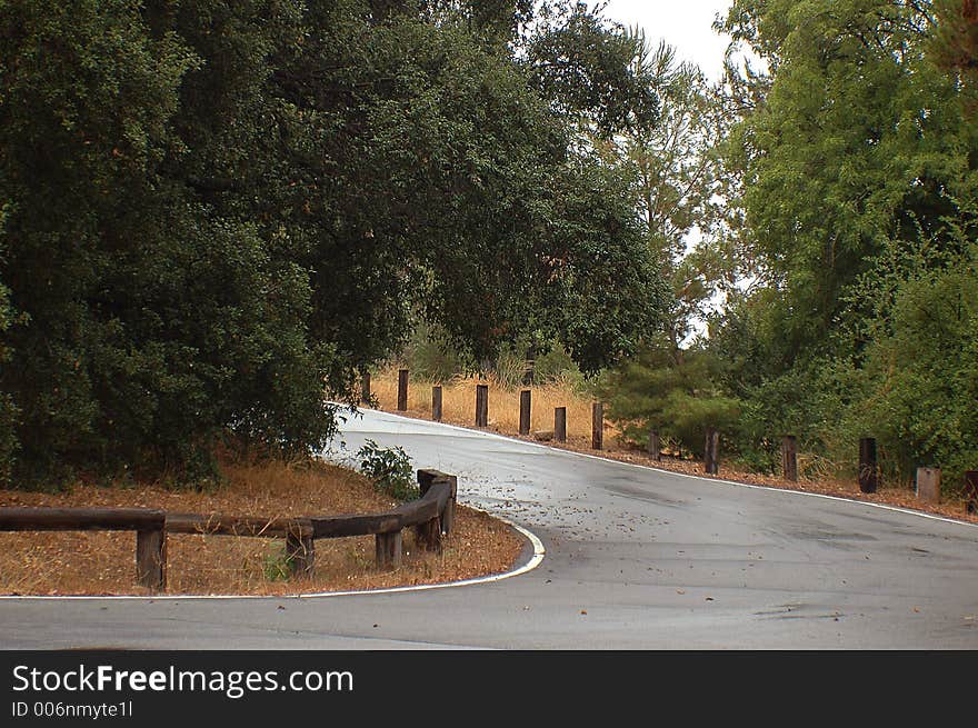 Turn of the park road, wet after the rain. Turn of the park road, wet after the rain