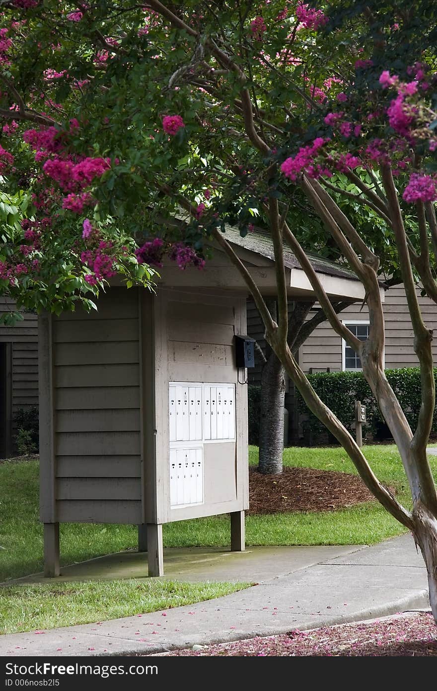 Mailboxes at Condominium Complex