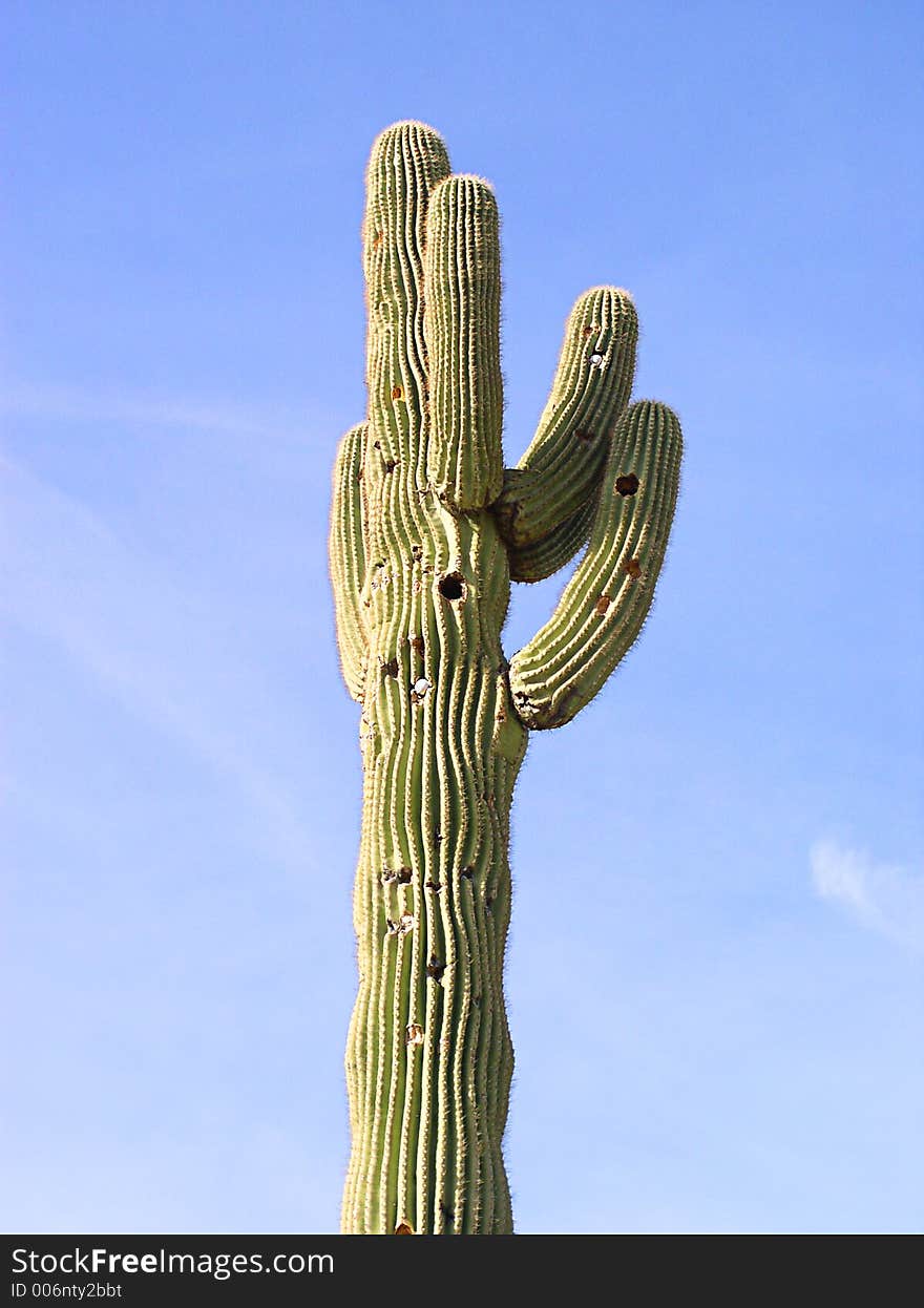 Golfing in The Desert