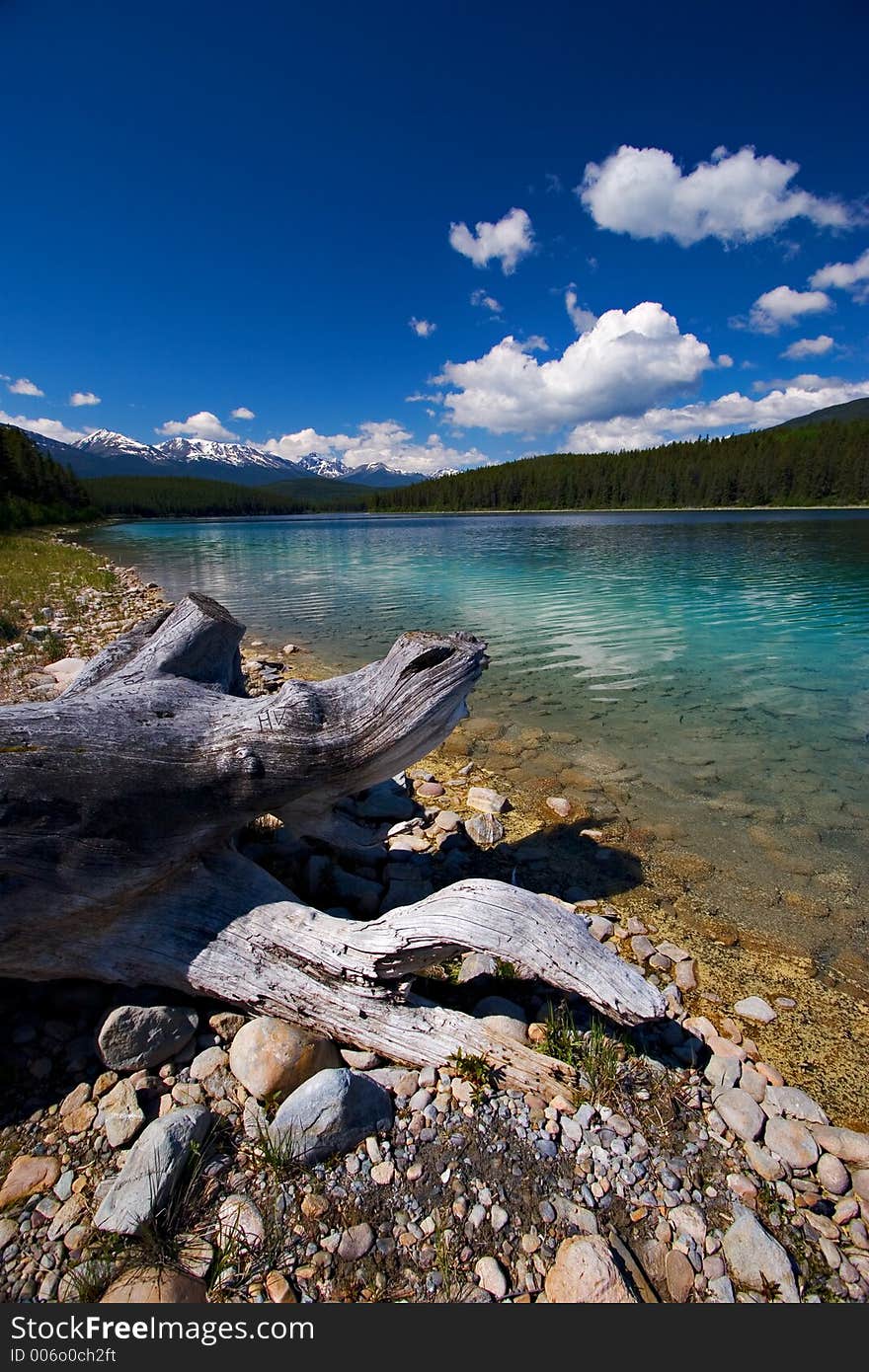 An old, gnarled stump decorates the shore of a beautiful mountain lake. An old, gnarled stump decorates the shore of a beautiful mountain lake.