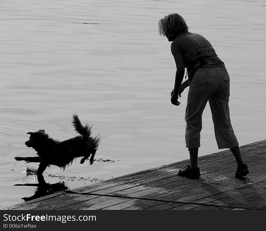 Dog jumping into the water to catch a stick thrown by a lady. Dog jumping into the water to catch a stick thrown by a lady