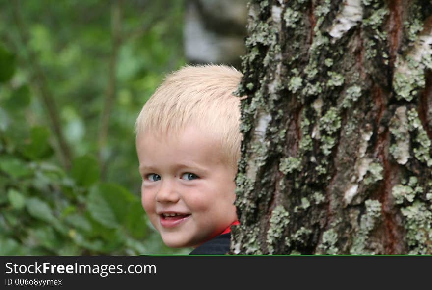 Lukas behind a birch tree. Lukas behind a birch tree