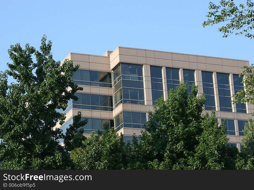 Office in Trees