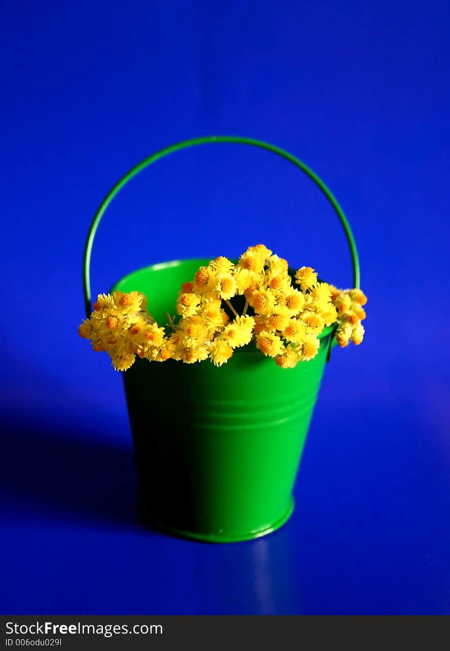 Yellow flowers and green bucket with blue background. Yellow flowers and green bucket with blue background