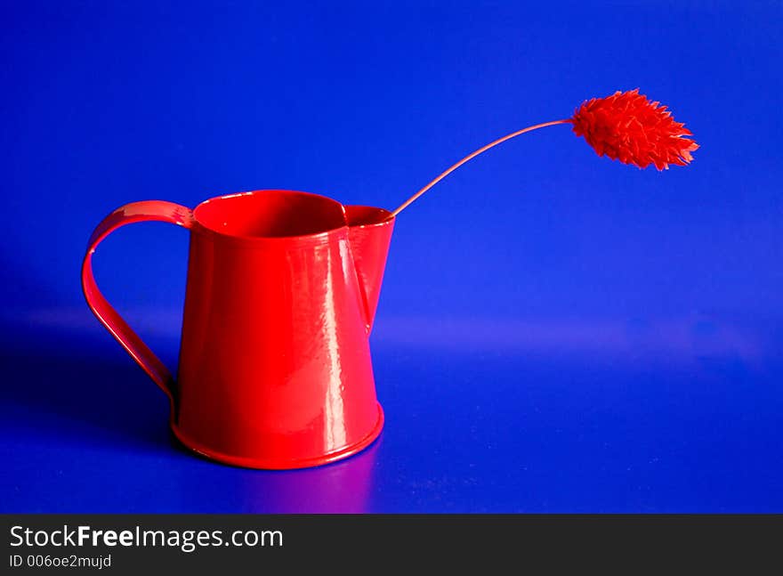 Grassy flower and red watering can in blue background