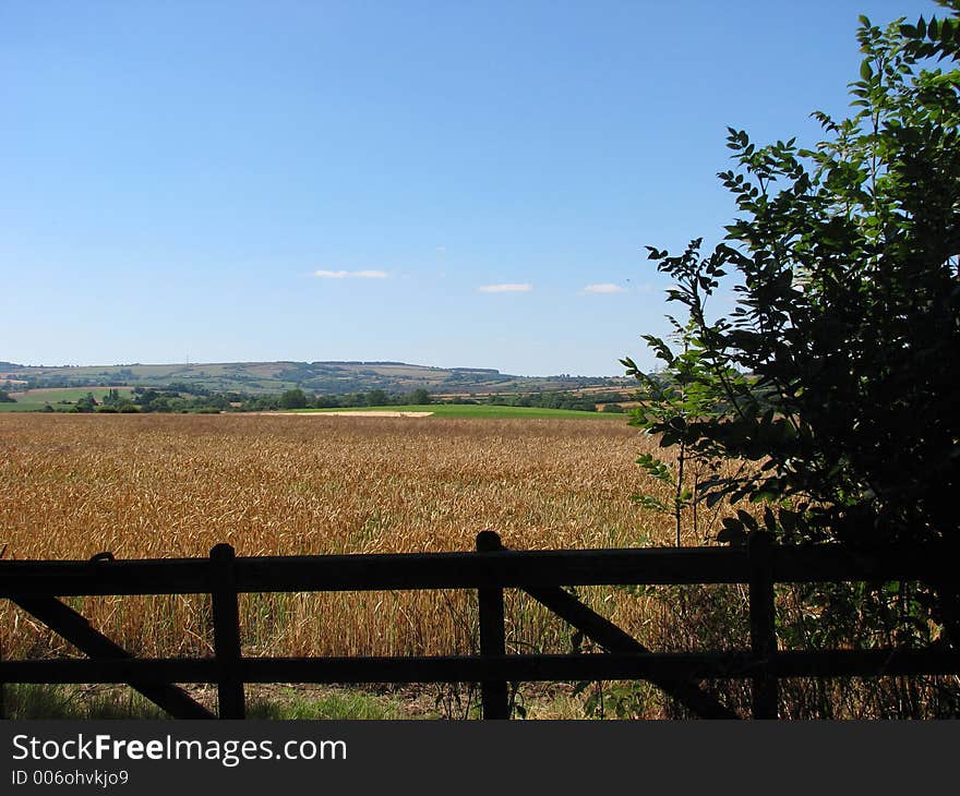 Yorkshire Landscape