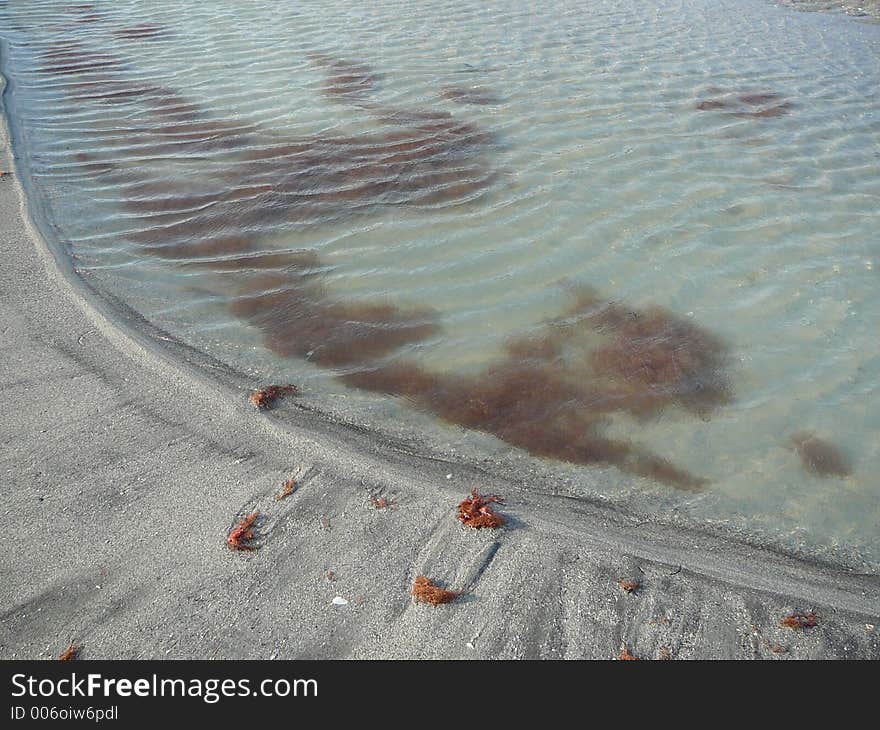 Rippling Tidal Pool with sea grass