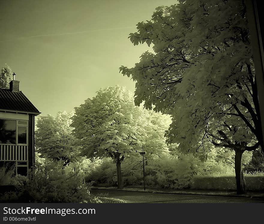 House and trees in infrared. House and trees in infrared