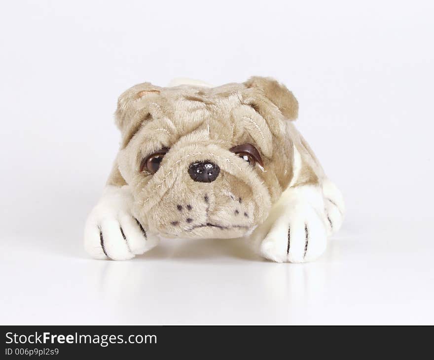 A small doggy toy on the white background