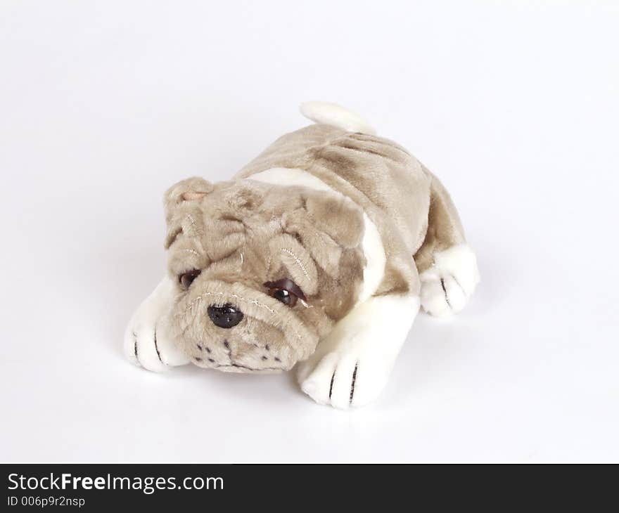 A small doggy toy on the white background