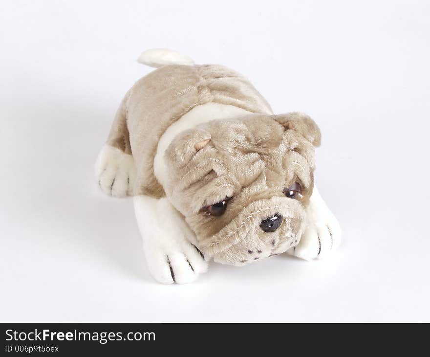 A small doggy toy on the white background