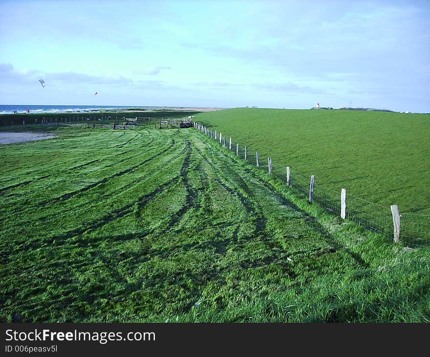 This pasture with the deep tracks in it lies between the and the ocean. This pasture with the deep tracks in it lies between the and the ocean