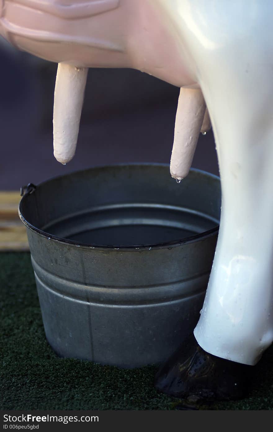 An educational display showing how cow udders work.