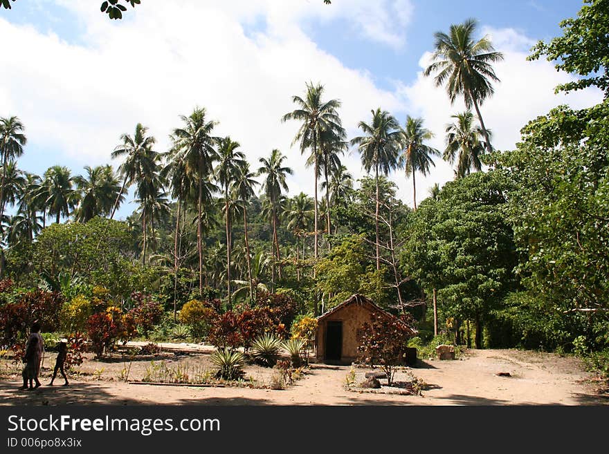 Small village on  south Pacific island