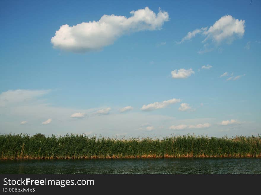 Blue,river And Grass