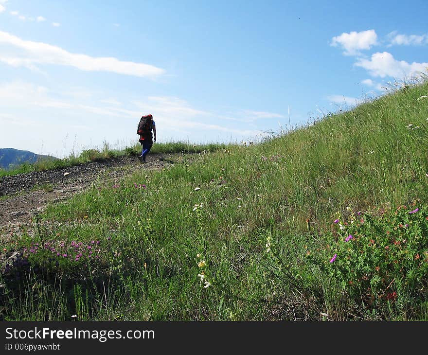 Tent on the grassland. Tent on the grassland