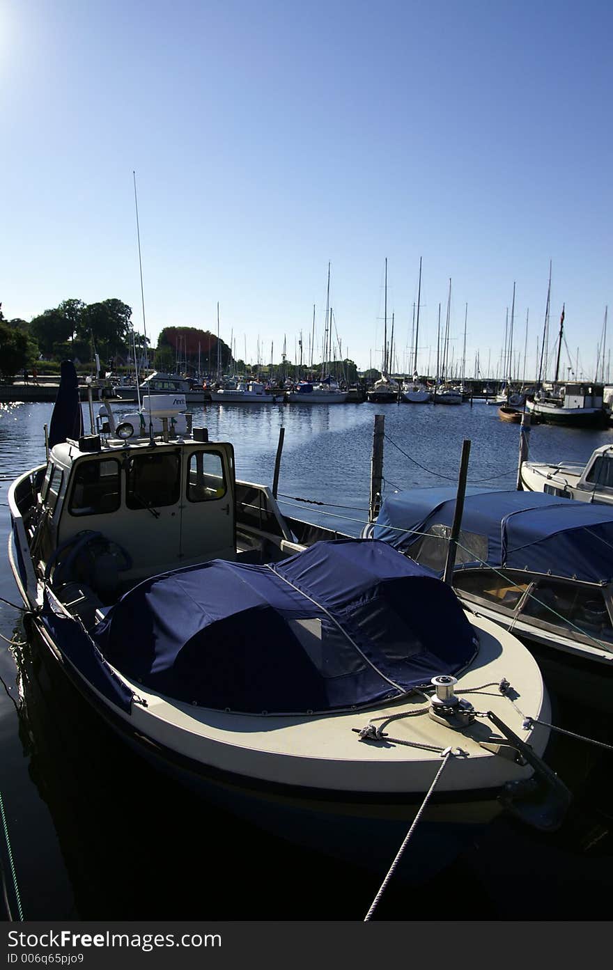 Boats in the harbor